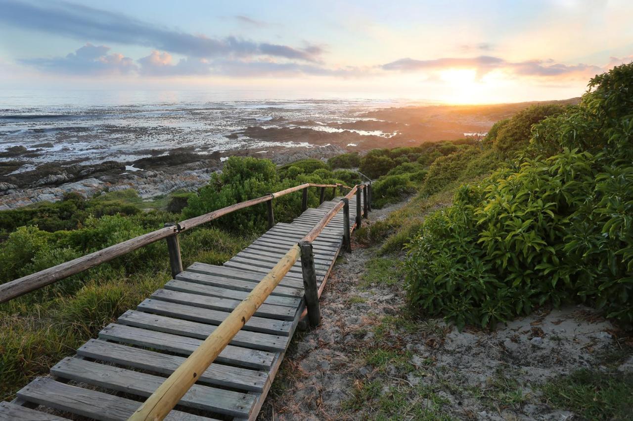 Walker Bay Manor Mansion Hotel Hermanus Esterno foto